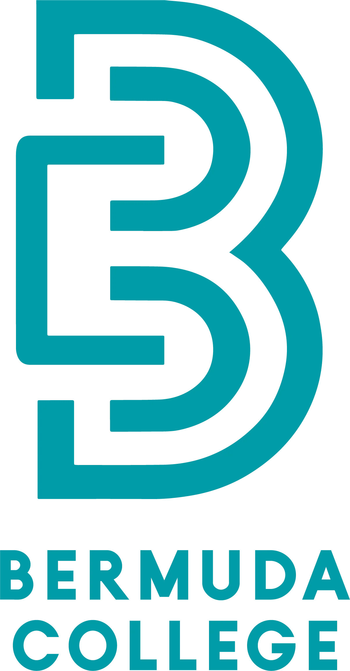 Bermuda College New England Commission Higher Education